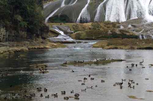 瀑布之下——春江水暖何止鸭先知