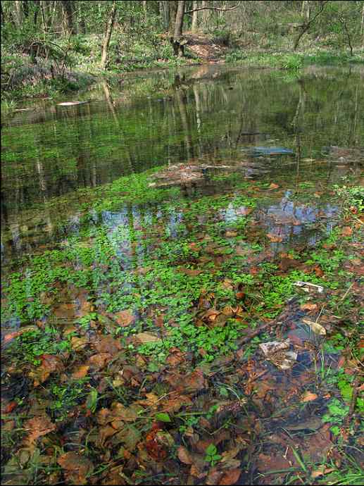 别因为鸟而错过一路风景