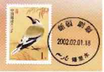 白尾地鸦——中国的特有物种保护手册