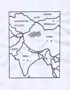 白尾地鸦——中国的特有物种保护手册