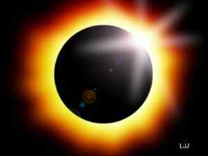 鸟类对日全食有反应