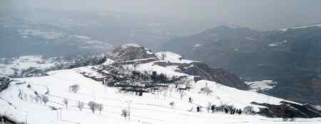 美如画的红嘴蓝鹊