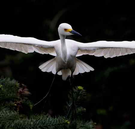 轻歌曼舞话象山 轻歌曼舞话象山