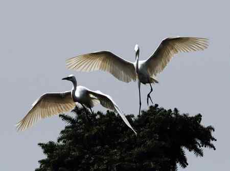 轻歌曼舞话象山 轻歌曼舞话象山