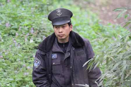 西湖边惊现捕鸟人,灰翅噪鹛险成笼中物