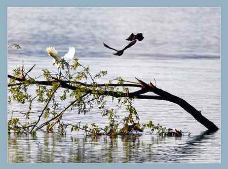 生态严重破坏的结果!