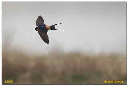 新相机到手，试机拍片。