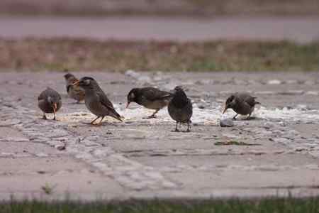 也发点望远镜摄影的片子