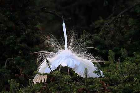 瞬间，浓缩了一生的美