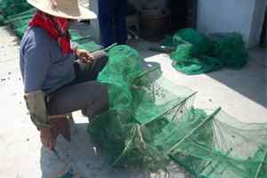 小鸊鷉的隐形杀手：地龙网