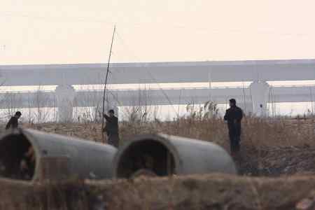 今天下午拍到的捕鸟贼!