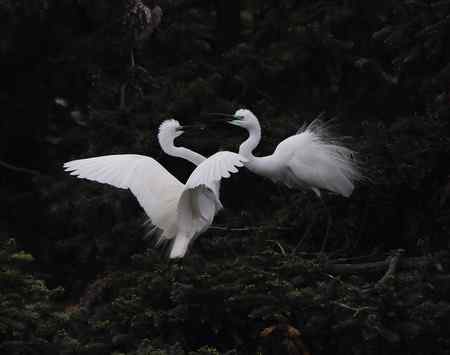 轻歌曼舞话象山 轻歌曼舞话象山