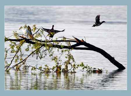 生态严重破坏的结果!