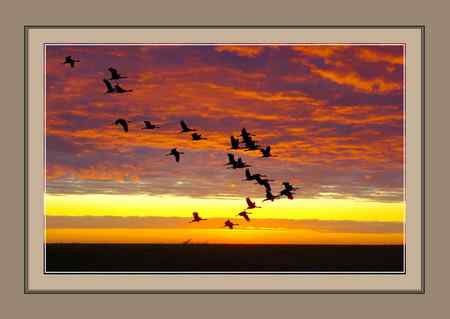 生境片，夕阳归途