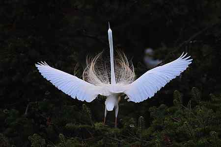 瞬间，浓缩了一生的美