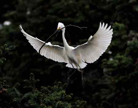 轻歌曼舞话象山 轻歌曼舞话象山