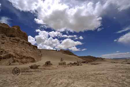 走进西藏观鸟【组图】