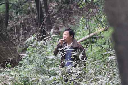 西湖边惊现捕鸟人,灰翅噪鹛险成笼中物