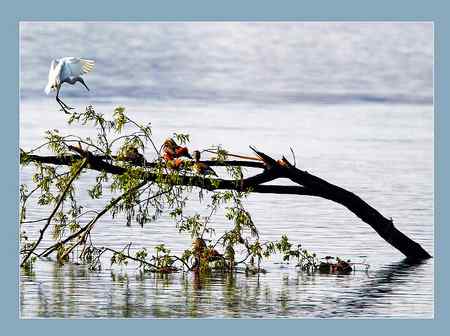 生态严重破坏的结果!