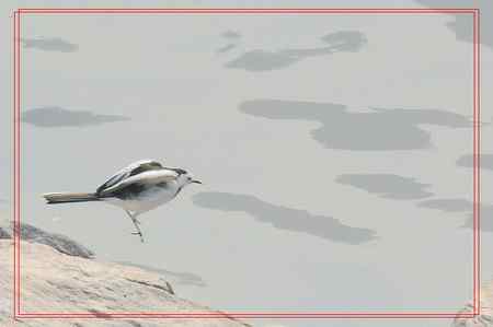 翱翔是人类追求的心愿