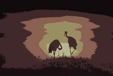 多种色调【组图】