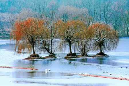 三门峡的美丽天使