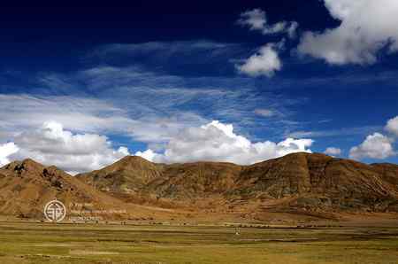 走进西藏观鸟【组图】 走进西藏观鸟【组图】