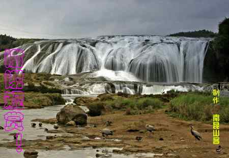 白鹭村的故事（情景图片童话）