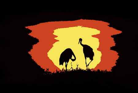 多种色调【组图】