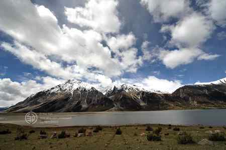 走进西藏观鸟【组图】 走进西藏观鸟【组图】