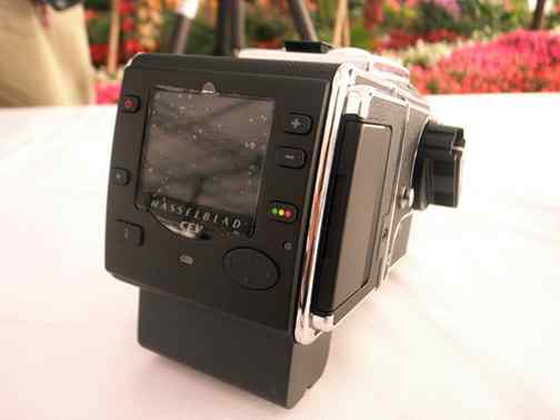 观鸟选择照相机 哈苏  hasselblad