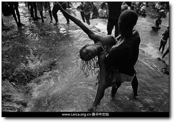 环保摄影奖 鸟类