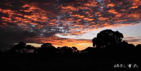 寻梦肯尼亚——鬣狗和火烈鸟(摄影故事)