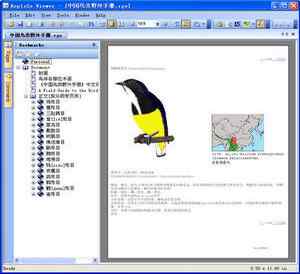 《中国鸟类野外手册》PDF经典版下载