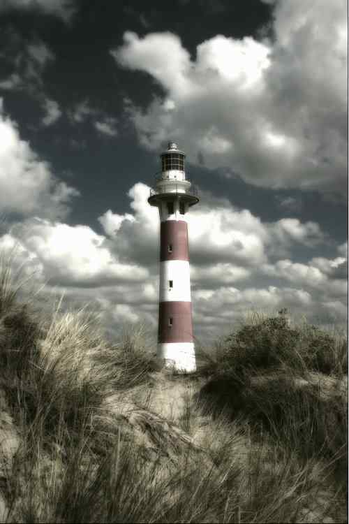 泰戈尔《飞鸟集》节选　生如夏花之绚烂，死如秋叶之静美