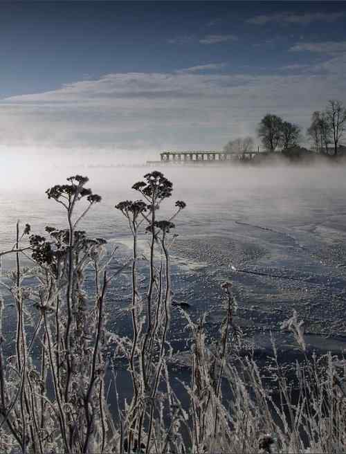 泰戈尔《飞鸟集》节选　生如夏花之绚烂，死如秋叶之静美