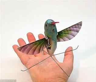 蜂鸟间谍侦察机