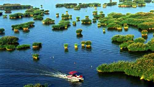 中国喜鹊之乡——银川，湿地增多，适合观鸟
