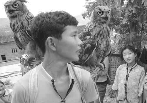 两只鸭蛋孵出猫头鹰 每天要吃一斤肉 两只鸭蛋孵出猫头鹰 每天要吃一斤肉