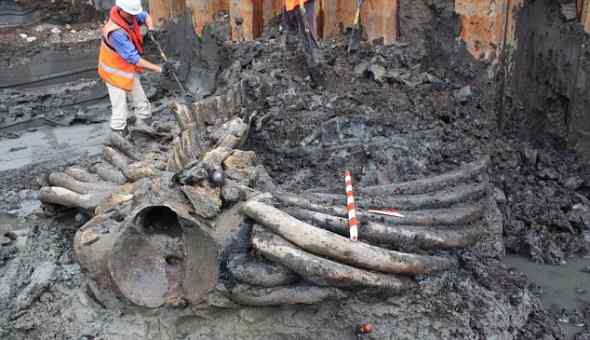 200年前的脊美鲸骨架现身泰晤士河岸