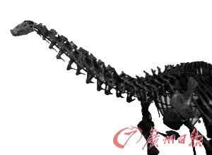 华南地区——河源首次发现巨龙类恐龙化石