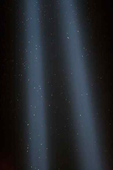 万鸟朝宗 纪念美国911