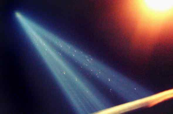 万鸟朝宗 纪念美国911