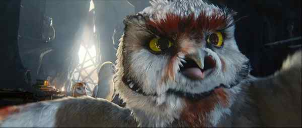 电影《守卫者传奇》中的猫头鹰知识大梳理 电影《守卫者传奇》中的猫头鹰知识大梳理