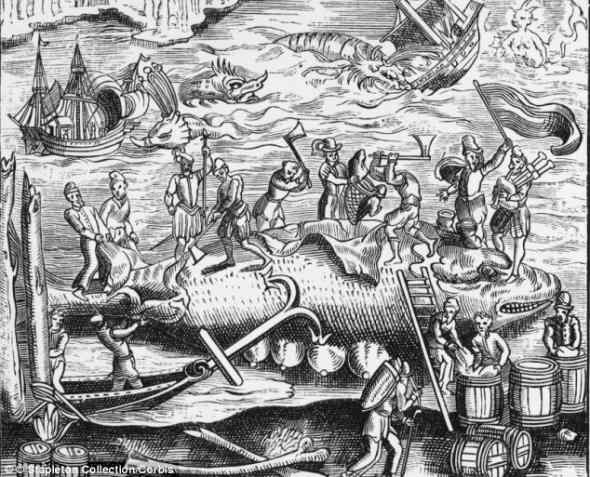 200年前的脊美鲸骨架现身泰晤士河岸