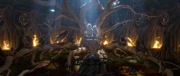 电影《守卫者传奇》中的猫头鹰知识大梳理 电影《守卫者传奇》中的猫头鹰知识大梳理