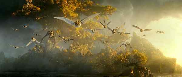 电影《守卫者传奇》中的猫头鹰知识大梳理