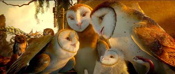 电影《守卫者传奇》中的猫头鹰知识大梳理 电影《守卫者传奇》中的猫头鹰知识大梳理