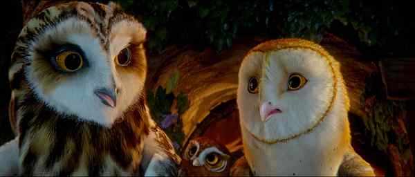 电影《守卫者传奇》中的猫头鹰知识大梳理 电影《守卫者传奇》中的猫头鹰知识大梳理