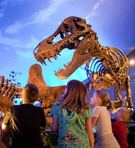 早期霸王龙个头很小